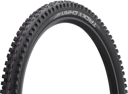 Pneumatico schwalbe tacky chan - pneumatico,