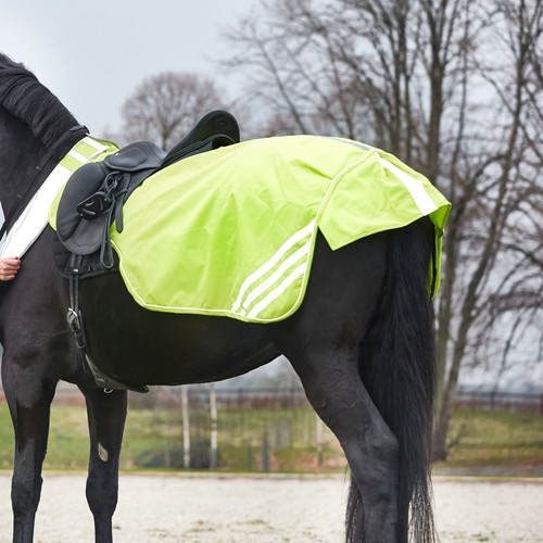 Horse guard reflex coperta - horse,
