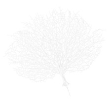  Corallo Per Acquario Finto