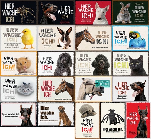 Top cartelli animali varie - top, animali,