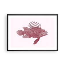 Poster 70x50cm Pescare Pesce