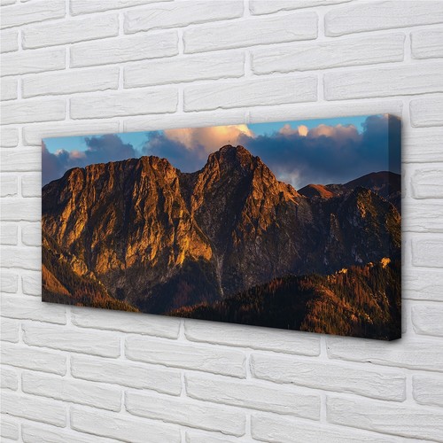 Quadro tela tulup 120x60 - su,
