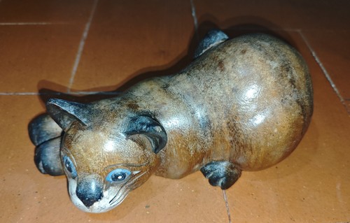 Gatto legno - gatto, di