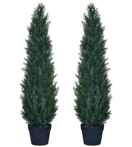 Confezioni 3ft alberi - 3ft,