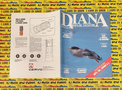 Rivista magazine del - rivista,