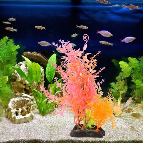 Piante acquario in - piante,
