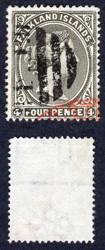 Falkland sg12w grigio - 4d,