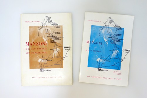 Manzoni suo romanzo visti - manzoni, il