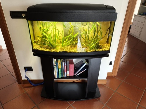 Acquario completo usato con - usato,,
