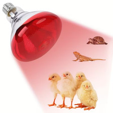 Lampada riscaldante