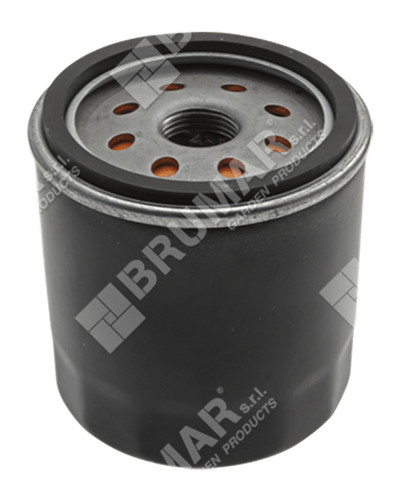 Filtro olio per motori - , briggs
