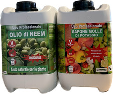 OLIO di NEEM insetticida
