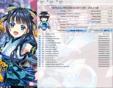 SK HYNIX 256 GB SSD M.2 NVMe