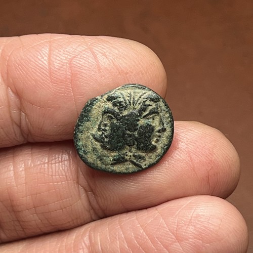 Lampsacus mysia 400 300 - 400-300, a.c