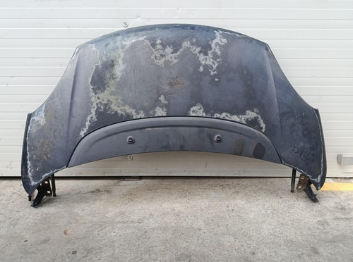 Cofano anteriore per fiat 500 - anteriore,
