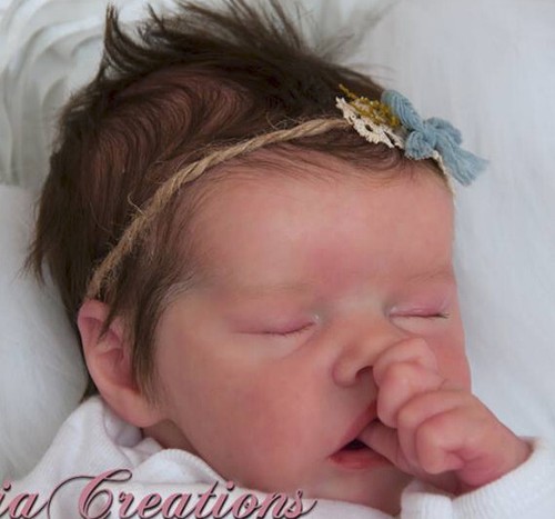 Twin new reborn - *,