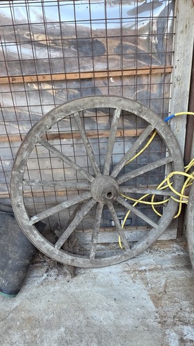 Coppia ruote per carro in - di,