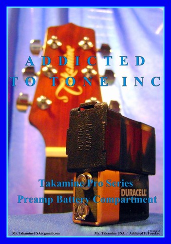 Takamine ct4b ct4bii n4b - ct4b,