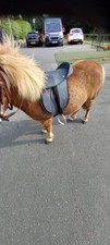 sella sintetica pony cub