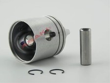 Piston Kit 0.030 432804