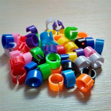 100 x CLIP GAMBA PICCIONE PLASTICA COLORATA 8 MM ANELLI CLIC BANDE ALLEVATORE STOCK LOFT