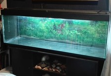 Acquario  350 litri