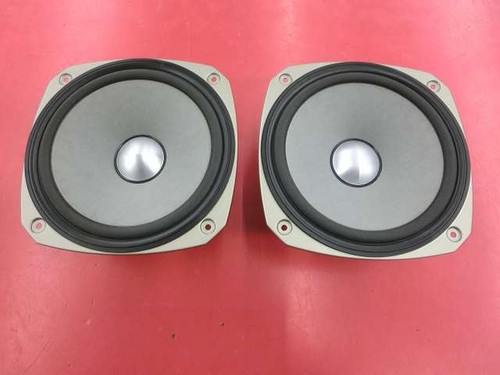 Coppia altoparlanti fostex - altoparlanti,