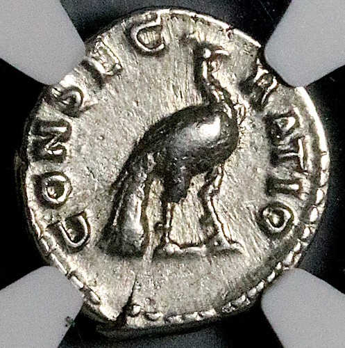176 ngc faustina - ngc, ch
