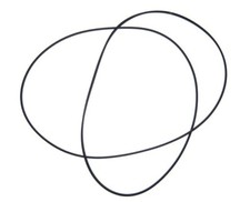 Cinghia trasmissione