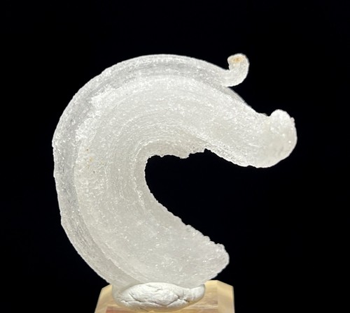 Selenite forma corno - forma, 'corno