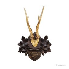 Antico trofeo cervo rosso