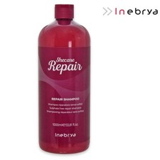 Shampoo Inebrya Shecare Repair Ricostruzione Capelli Danneggiati 1000ml