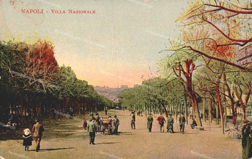 Dl912 cartolina napoli - cartolina,