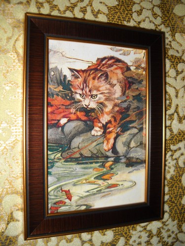 Orologi gatto pesce nello - pesce,