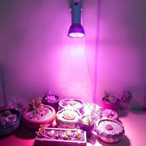 Lampadina e27 led - e27, 5w