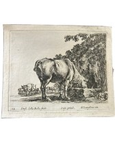 Stefano Della Bella, Mucca all'abbeveratoio, 1646