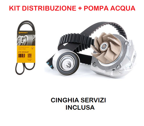 Kit distribuzione pompa - kit, +