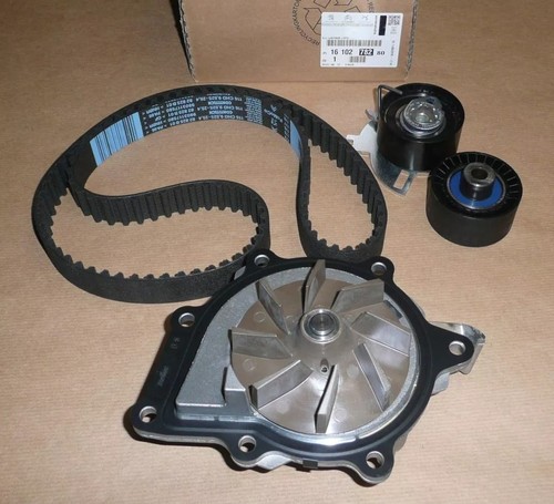 Kit cinghia distribuzione - cinghia,