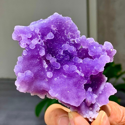49g agata uva viola - agata,