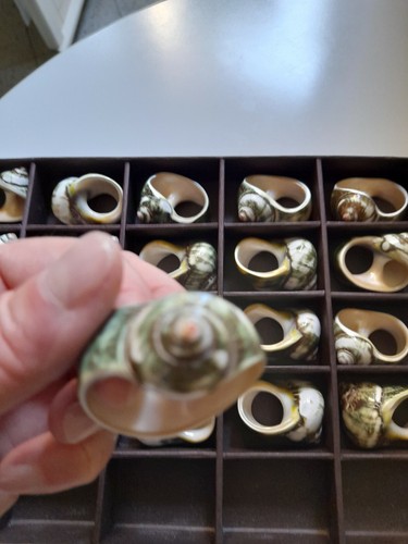 Ciondolo anello conchiglia - -,