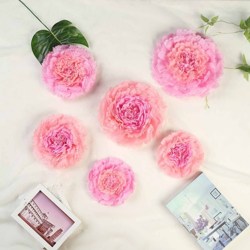 Confezione fiori garofano - confezione,