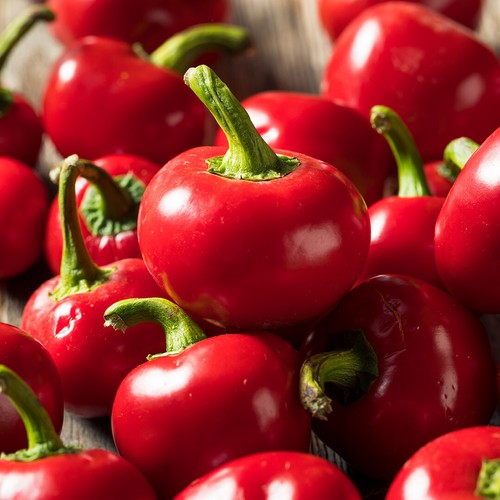Semi peperoncino tondo - di,