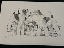 Stampa Wire Fox Terrier di