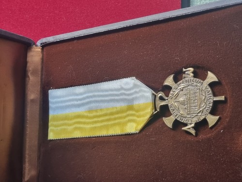 Medaglia bronzo papa - papa, paolo
