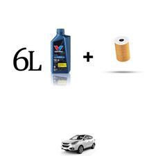 Kit filtro olio e 6L per