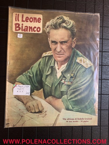 Leone bianco vita africana - leone,
