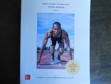 Human Anatomy International