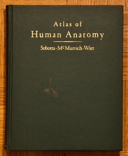 Atlas human anatomy by - atlas,