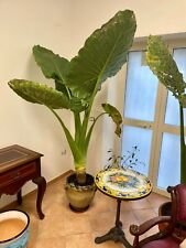 tavolino tondo decorato su pietra lavica