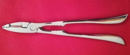 Pinza aragosta crostacei rompi - pinza,